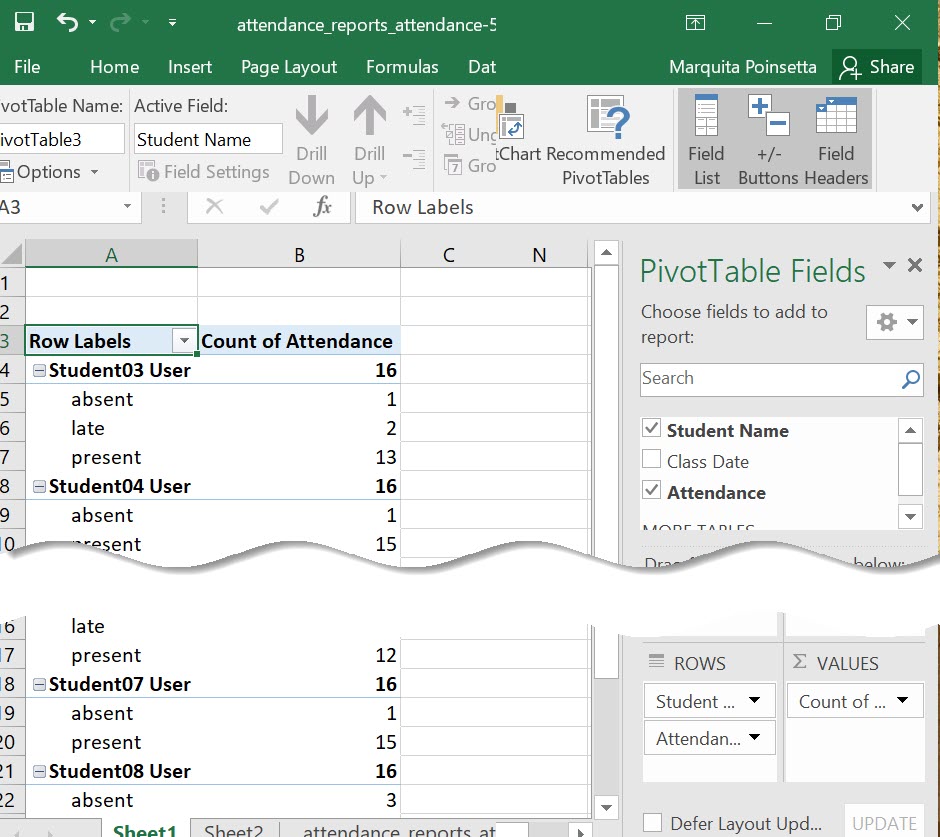 excel-pivot-table